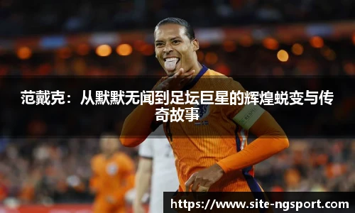 NG体育官网