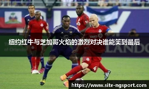 NG体育娱乐